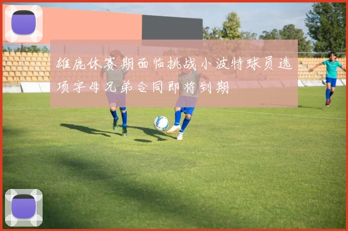 雄鹿休赛期面临挑战小波特球员选项字母兄弟合同即将到期